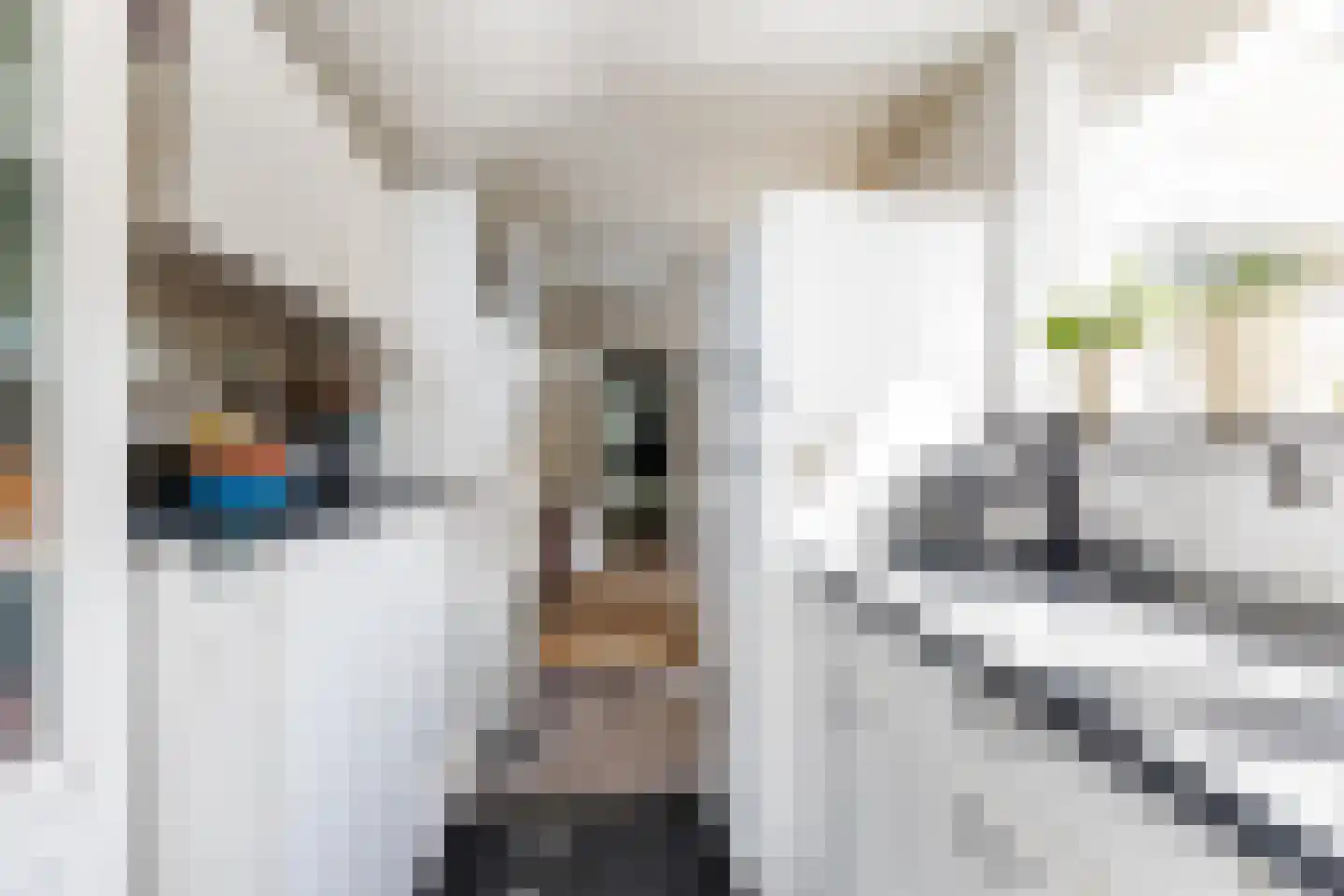 Oostakker 26 Bant thumbnail 6