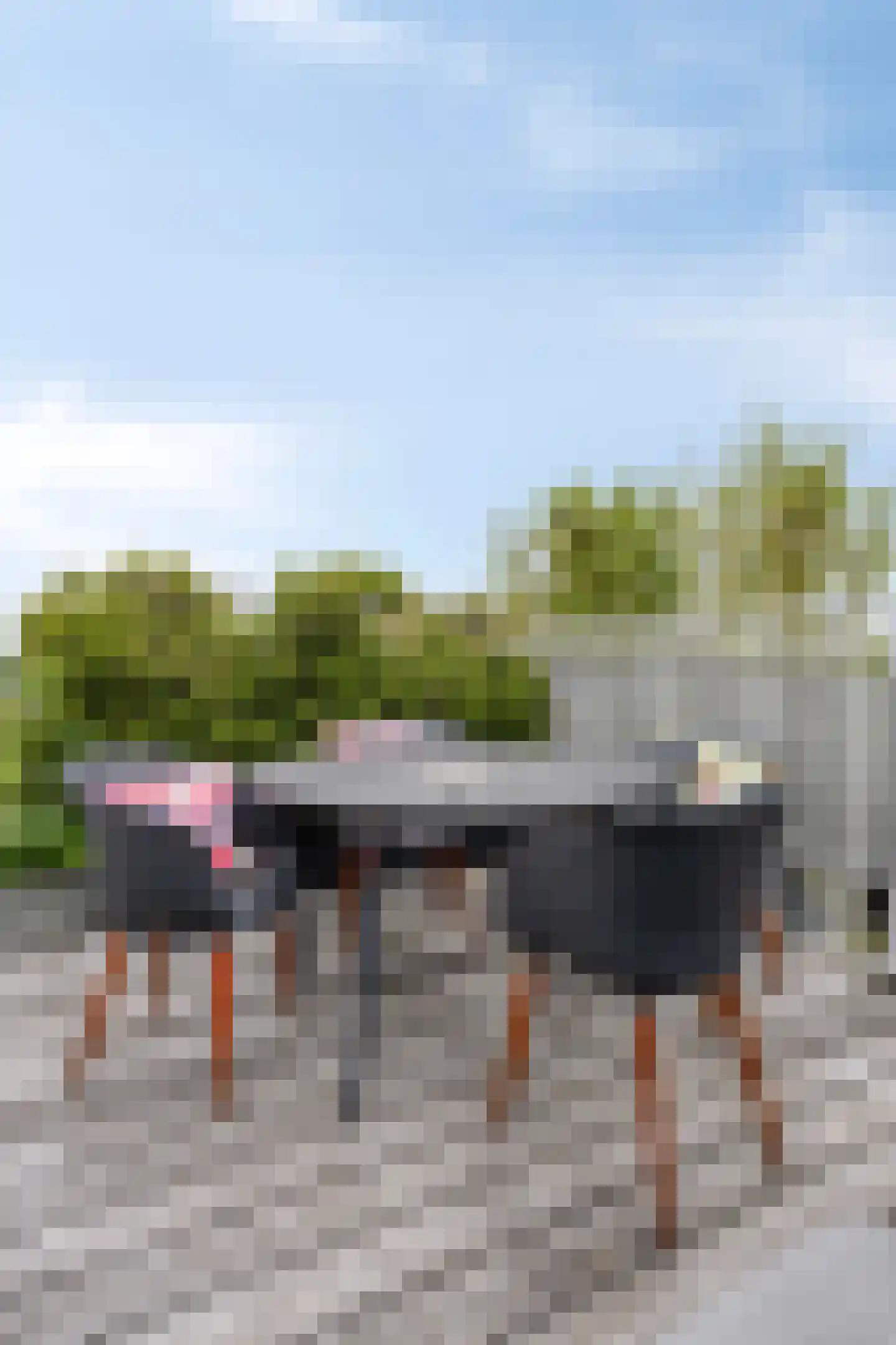 Oostakkerstraat 73 Amsterdam thumbnail 31