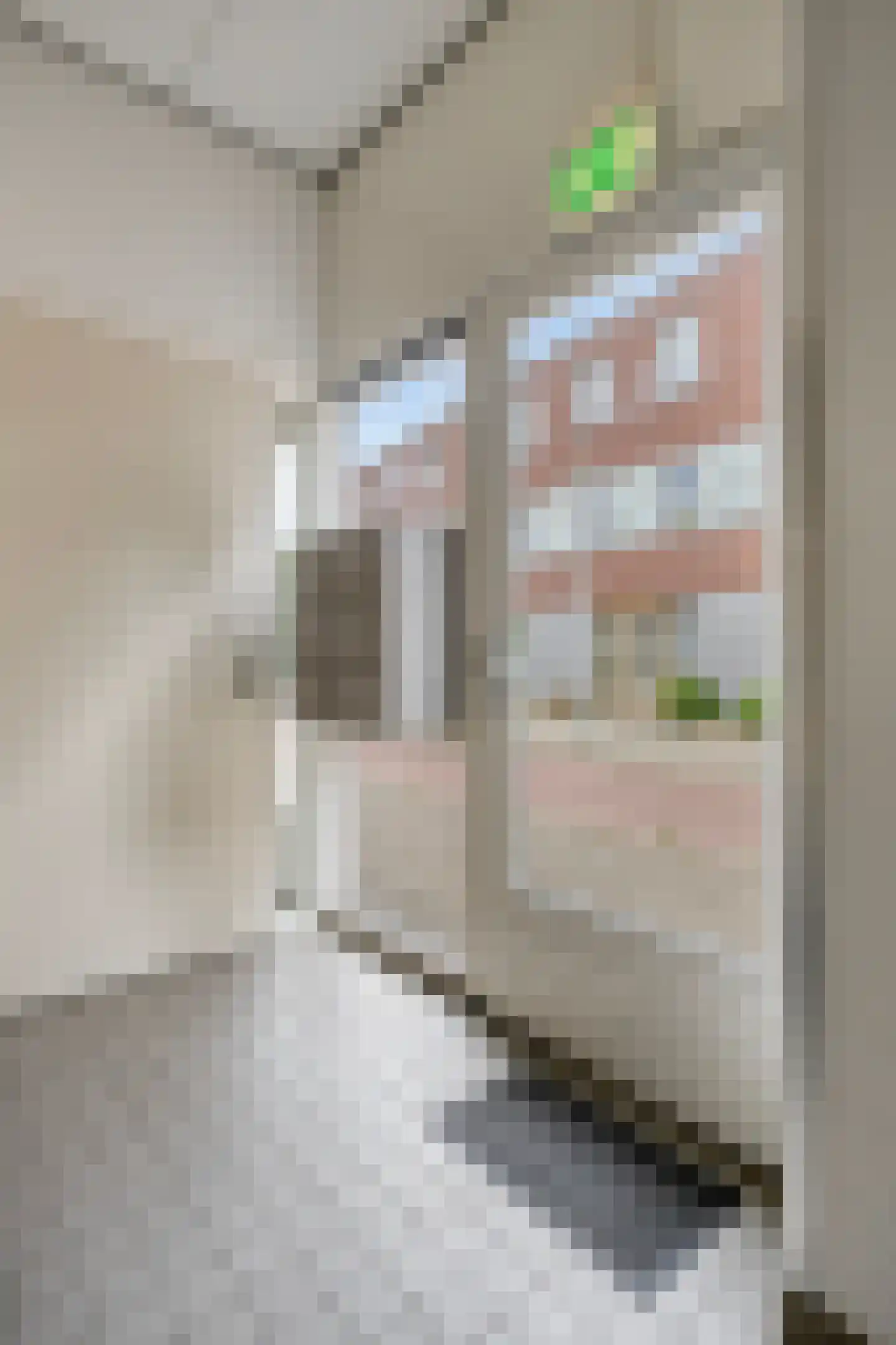 Oostakkerstraat 73 Amsterdam thumbnail 47
