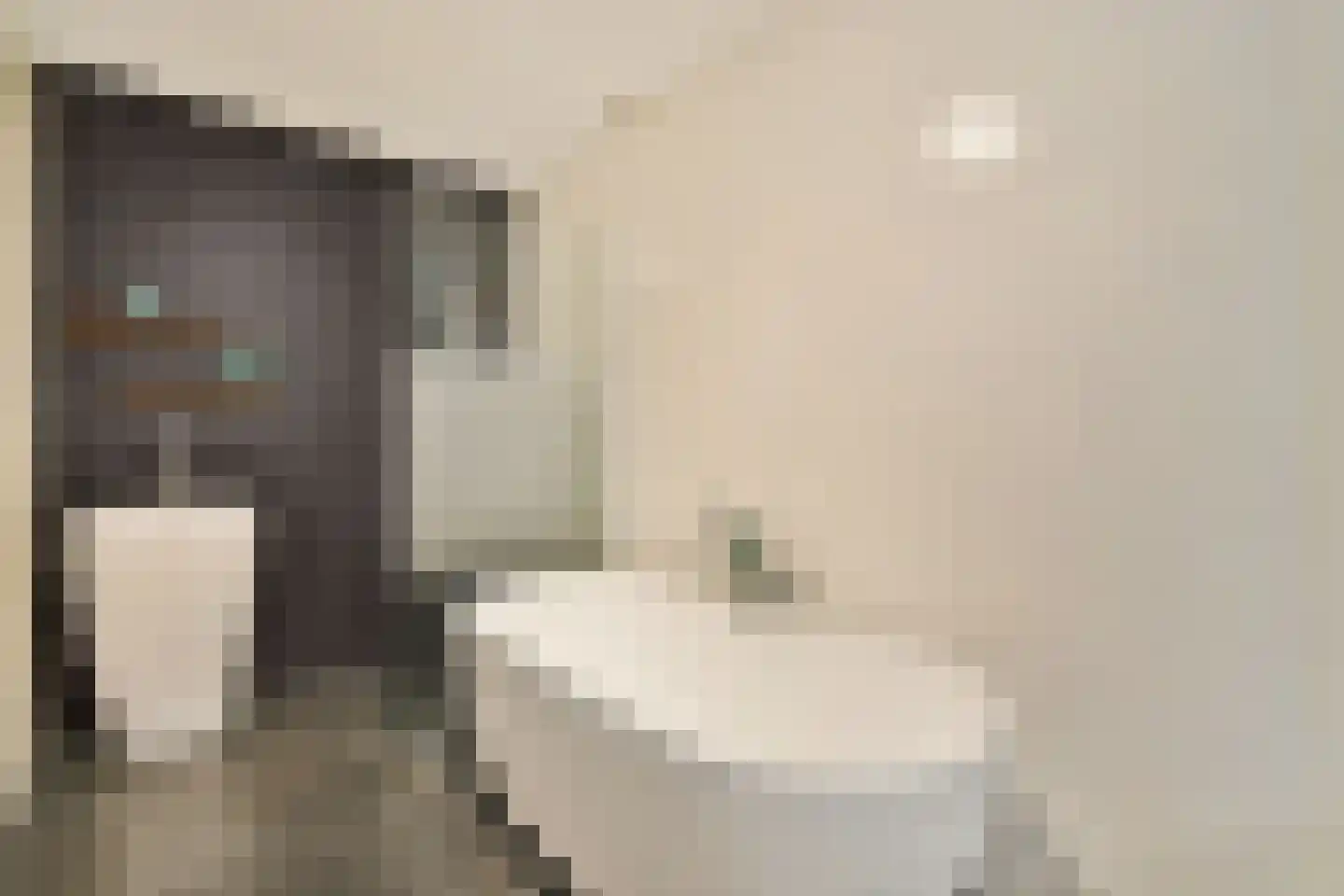 Oostakkerstraat 75 Amsterdam thumbnail 22