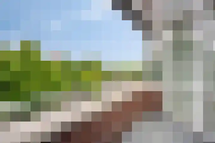 Oostakkerstraat 75 Amsterdam thumbnail 5