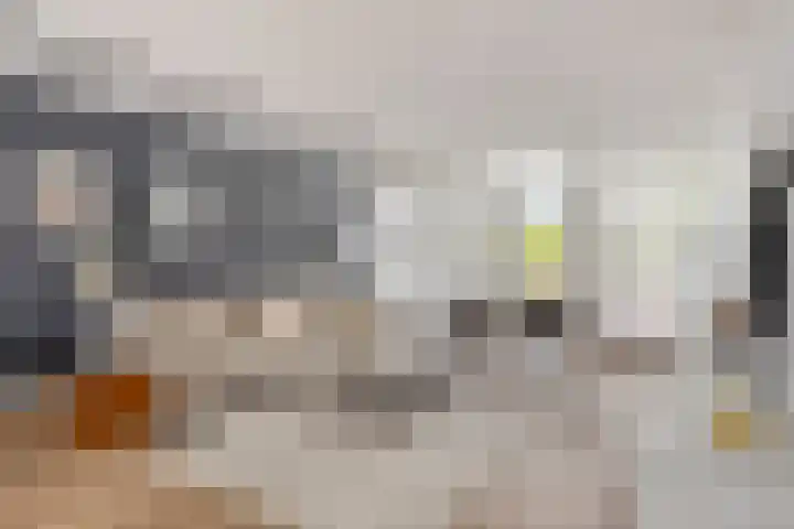 Oostakkerstraat 75 Amsterdam thumbnail 6