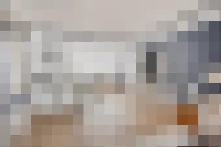 Oostakkerstraat 75 Amsterdam thumbnail 8