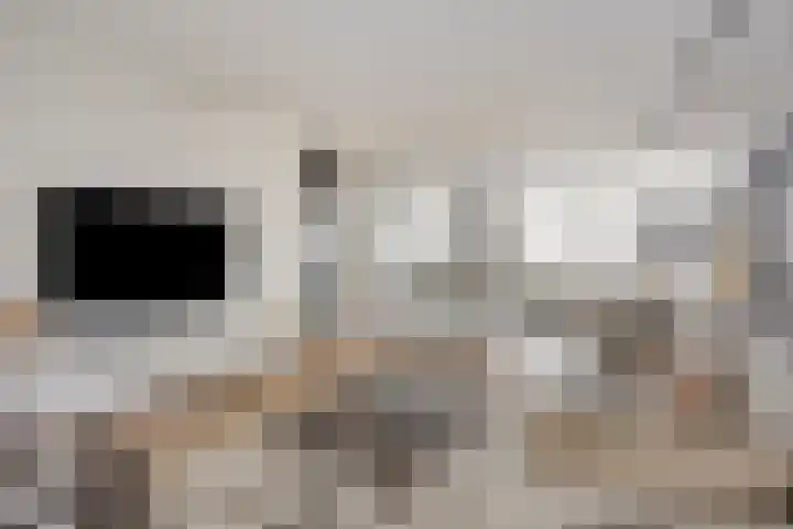 Oostakkerstraat 75 Amsterdam thumbnail 9