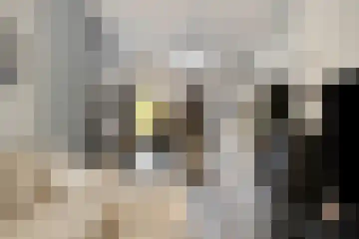 Oostblok 14 Delft thumbnail 9
