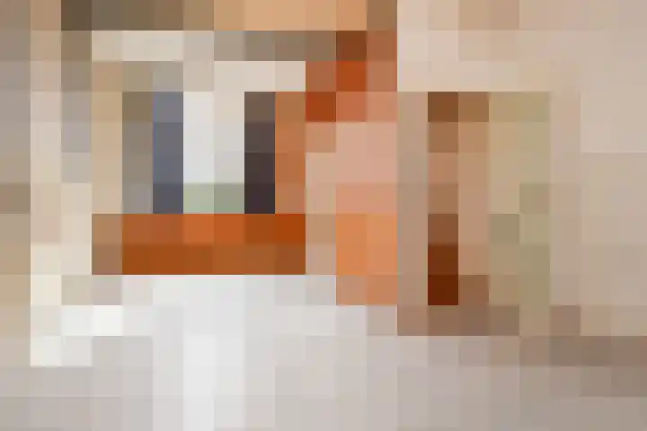 Oostblok 4 Delft thumbnail 19