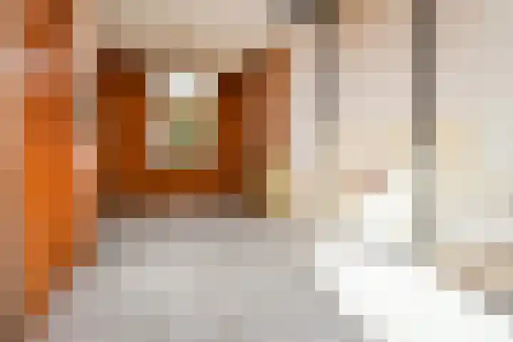 Oostblok 4 Delft thumbnail 9
