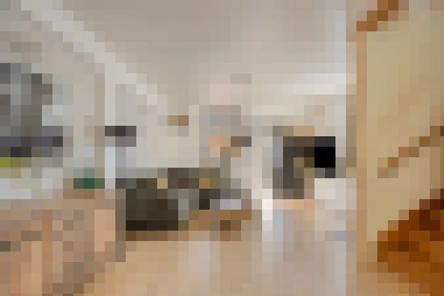 Oostblok 58 Delft thumbnail 9