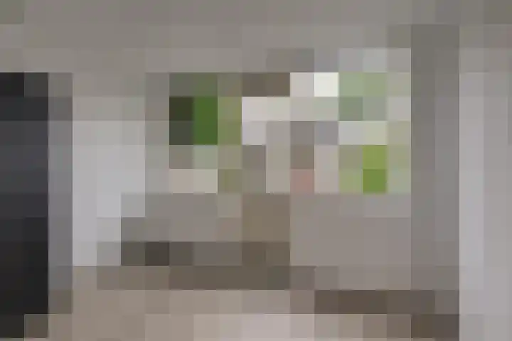 Oostblok 6 Delft thumbnail 11