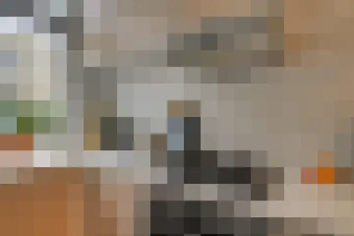 Oostblok 6 Delft thumbnail 6