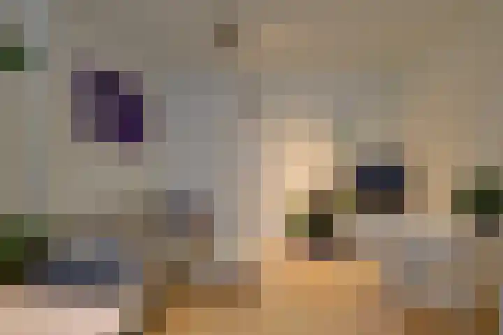 Oostblok 6 Delft thumbnail 8