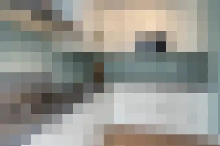 Oostblok 82 Wateringen thumbnail 13