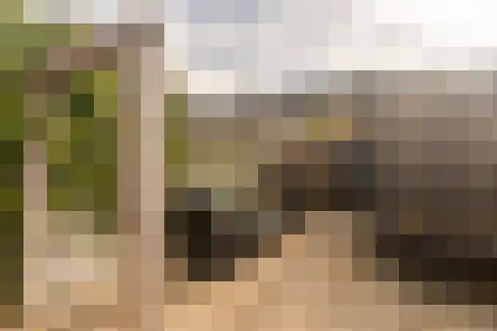 Oostblok 82 Wateringen thumbnail 15
