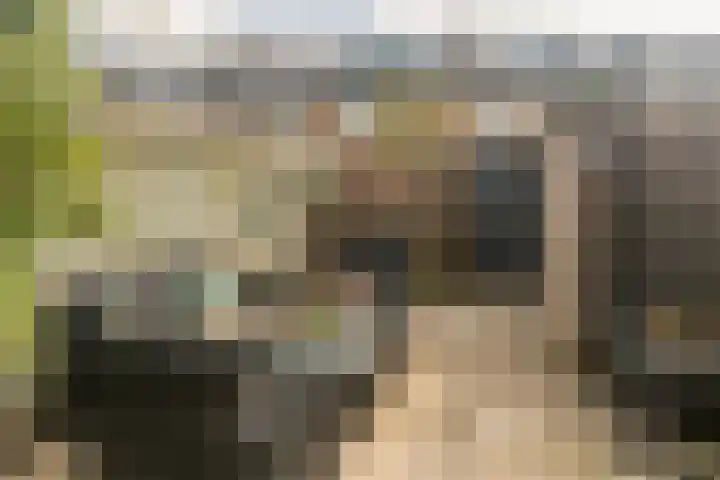 Oostblok 82 Wateringen thumbnail 16