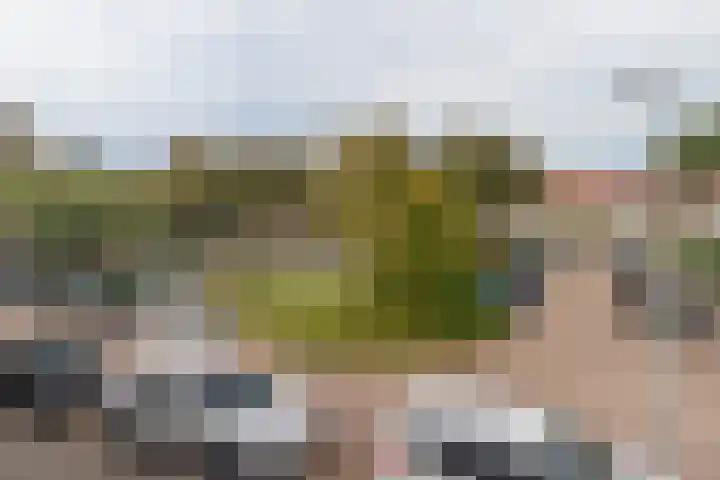 Oostblok 82 Wateringen thumbnail 21