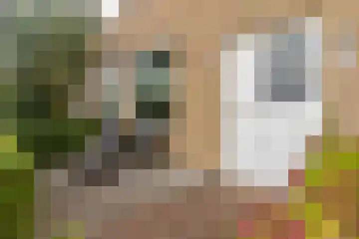 Oostblok 82 Wateringen thumbnail 30