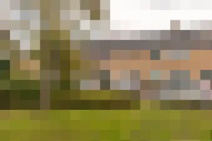 Oostblok 82 Wateringen thumbnail 32