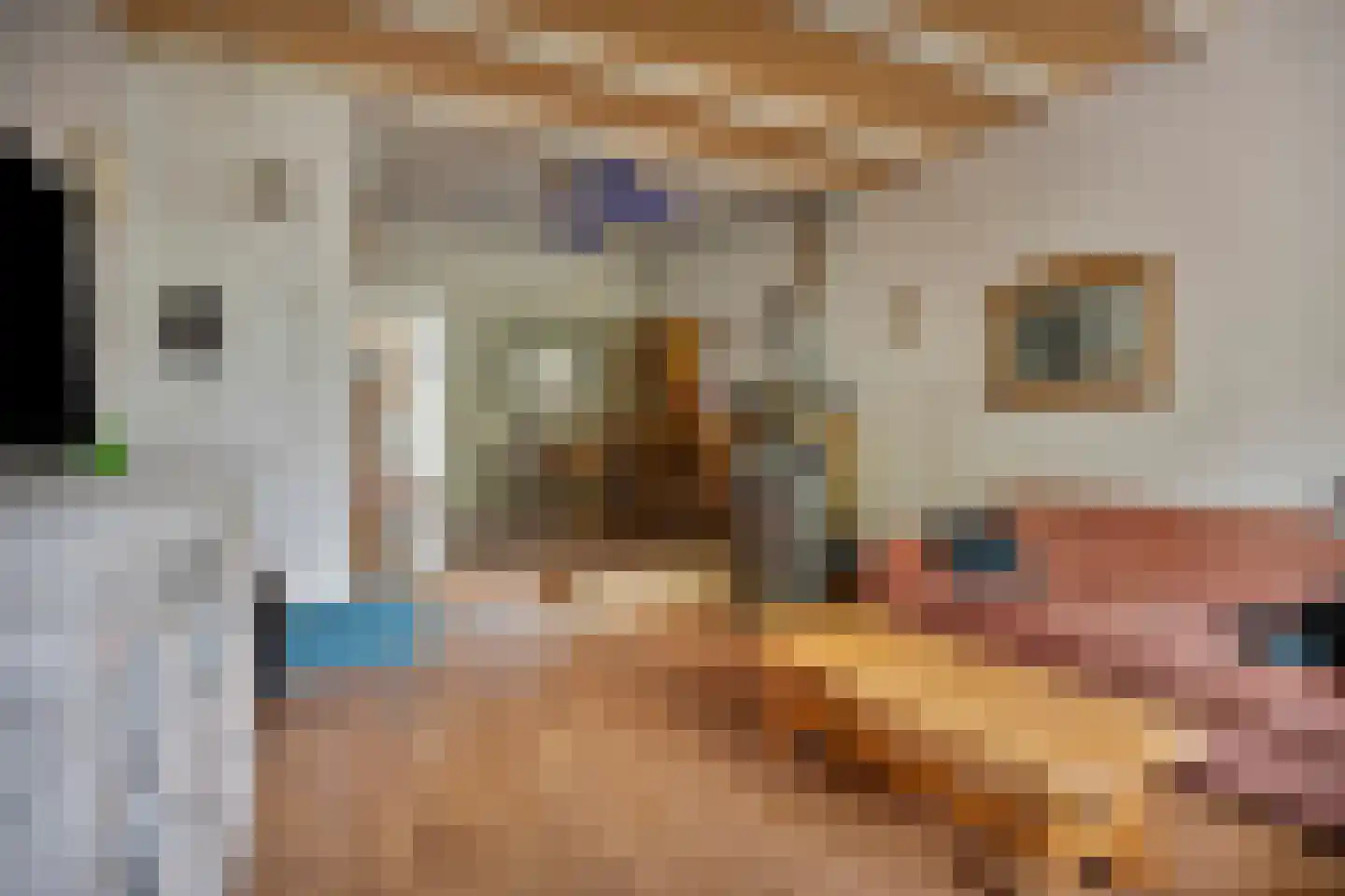 Oostboezemkade 1 Gouda thumbnail 10