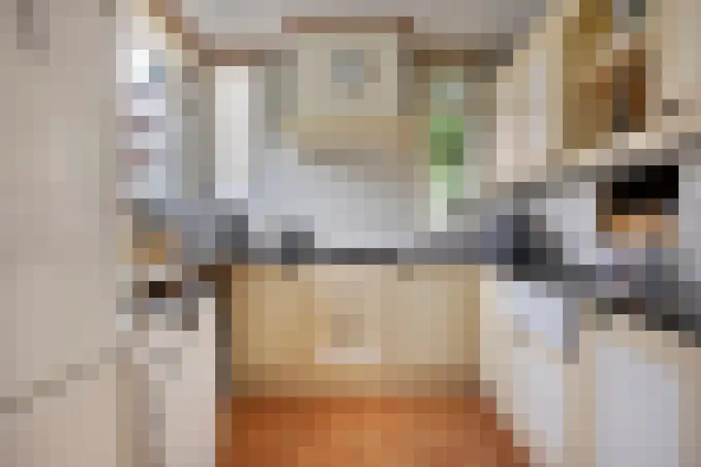Oostboezemkade 1 Gouda thumbnail 4