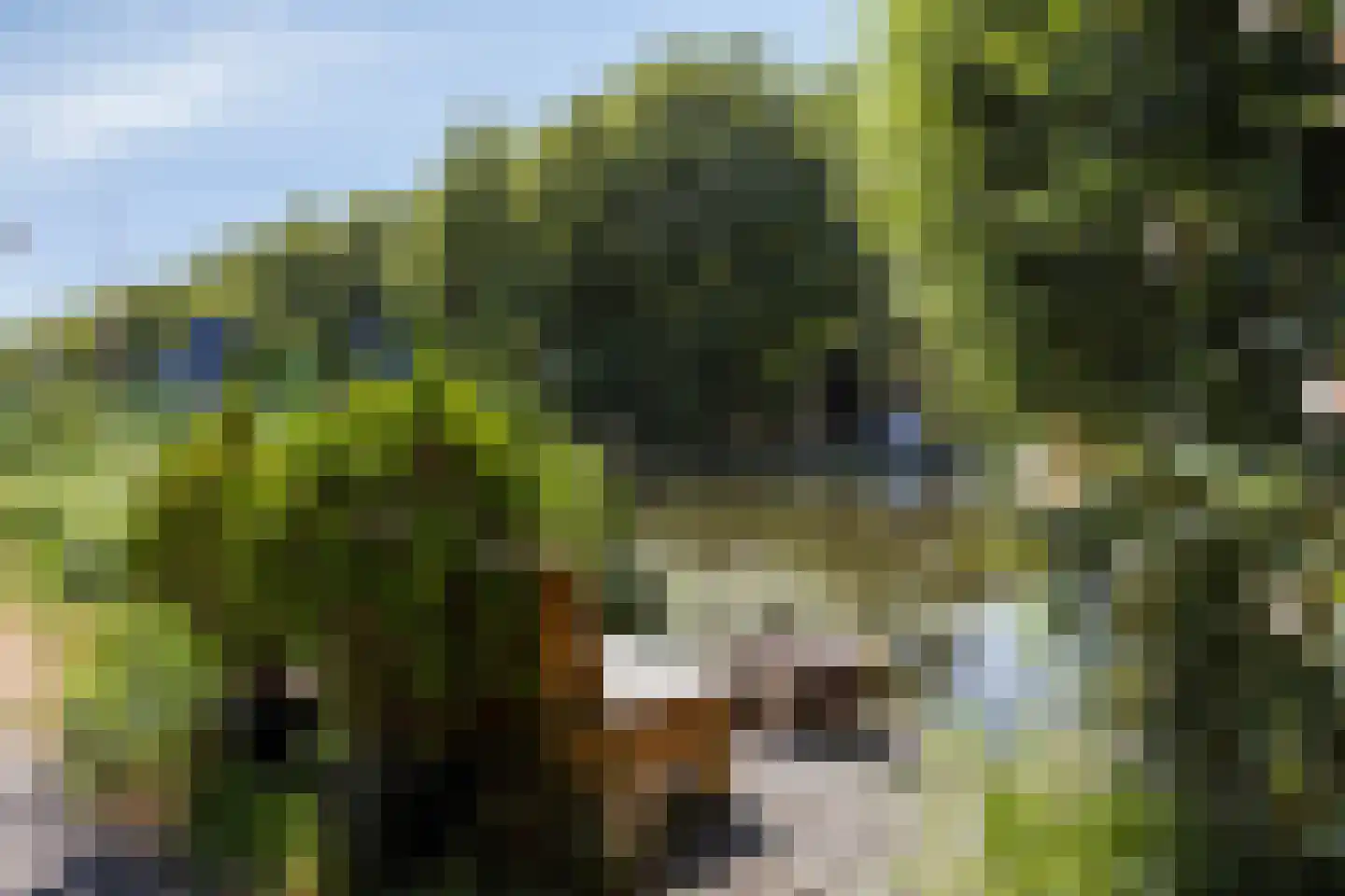Oostboezemkade 1 Gouda thumbnail 47