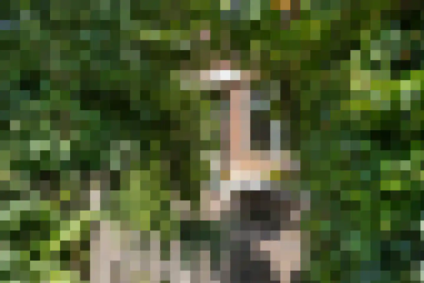 Oostboezemkade 1 Gouda thumbnail 49
