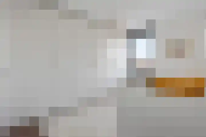 Oostbosch 11 Voorschoten thumbnail 20