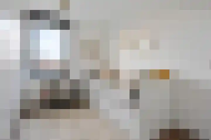 Oostbosch 11 Voorschoten thumbnail 21