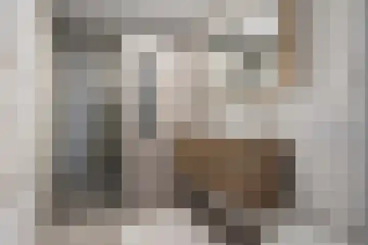 Oostbosch 11 Voorschoten thumbnail 23