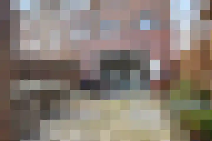 Oostbosch 11 Voorschoten thumbnail 33