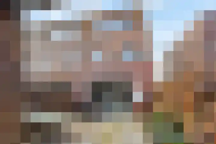 Oostbosch 11 Voorschoten thumbnail 34
