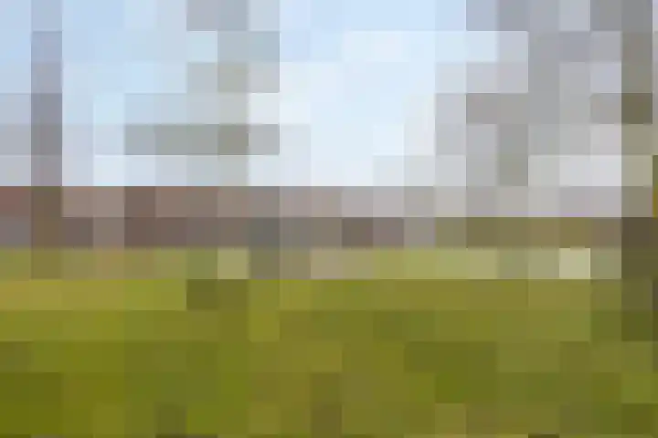Oostbosch 11 Voorschoten thumbnail 40