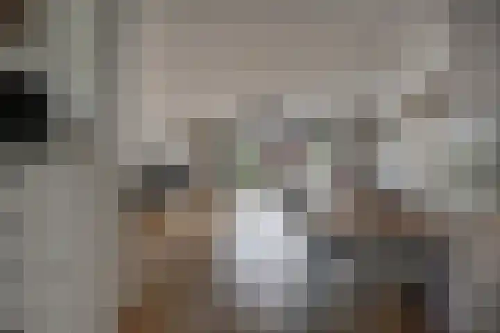 Oostbosch 17 Voorschoten thumbnail 12