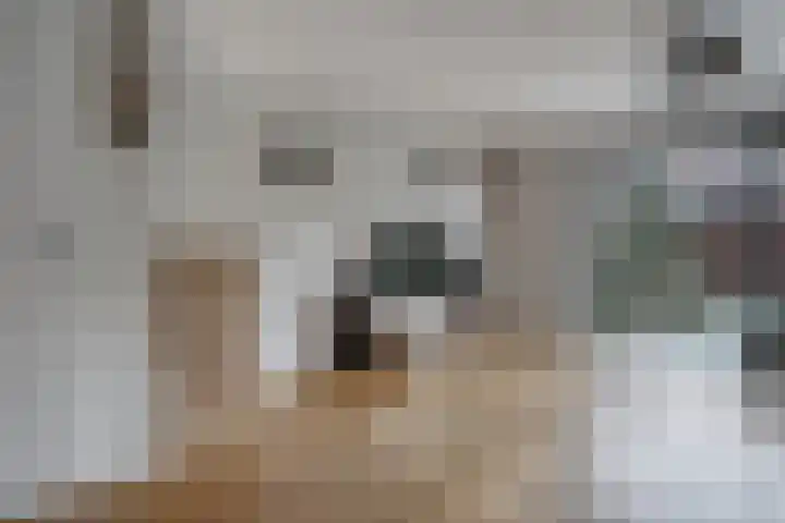 Oostbosch 17 Voorschoten thumbnail 14
