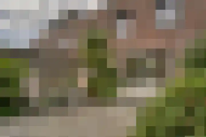 Oostbosch 17 Voorschoten thumbnail 16