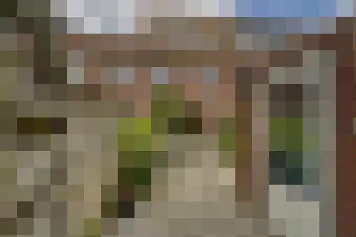 Oostbosch 17 Voorschoten thumbnail 17