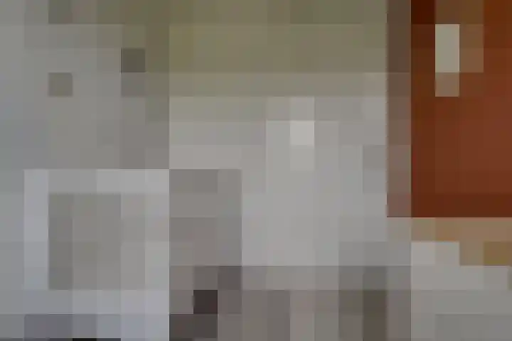 Oostbosch 17 Voorschoten thumbnail 25