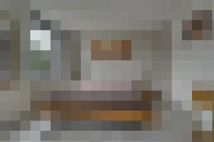 Oostbosch 17 Voorschoten thumbnail 26