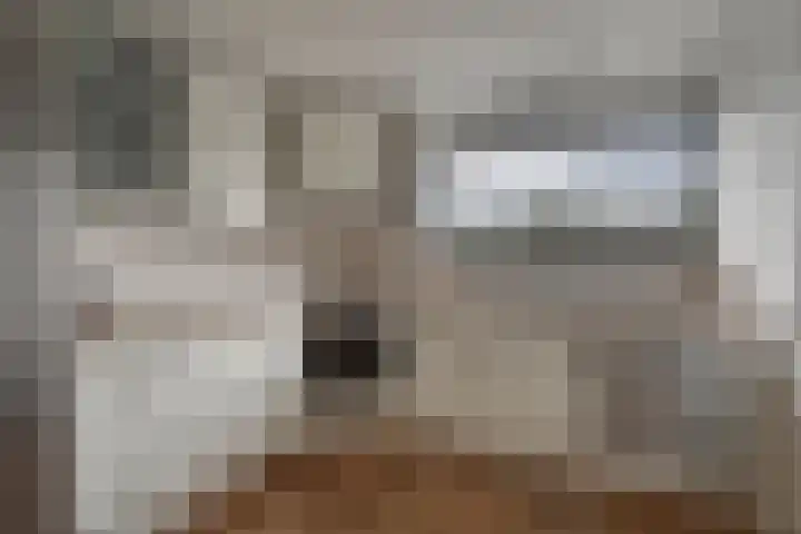 Oostbosch 17 Voorschoten thumbnail 8