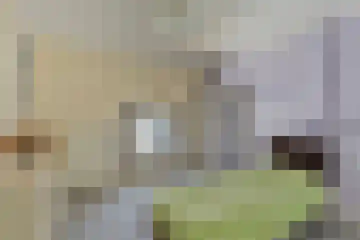 Oostbroek 19 Geulle thumbnail 25
