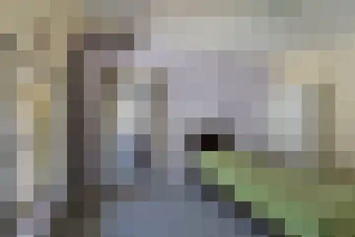 Oostbroek 19 Geulle thumbnail 26
