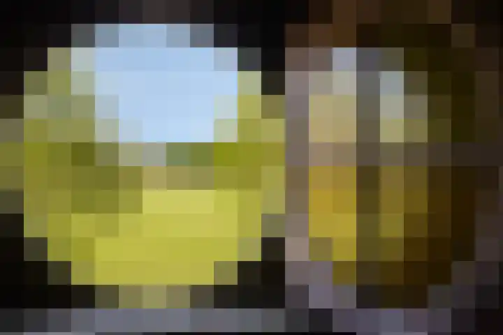 Oostbroek 19 Geulle thumbnail 34