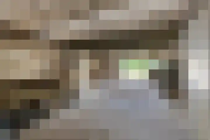 Oostbroek 19 Geulle thumbnail 47