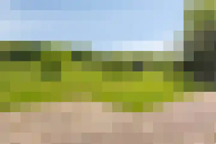 Oostbroek 19 Geulle thumbnail 49