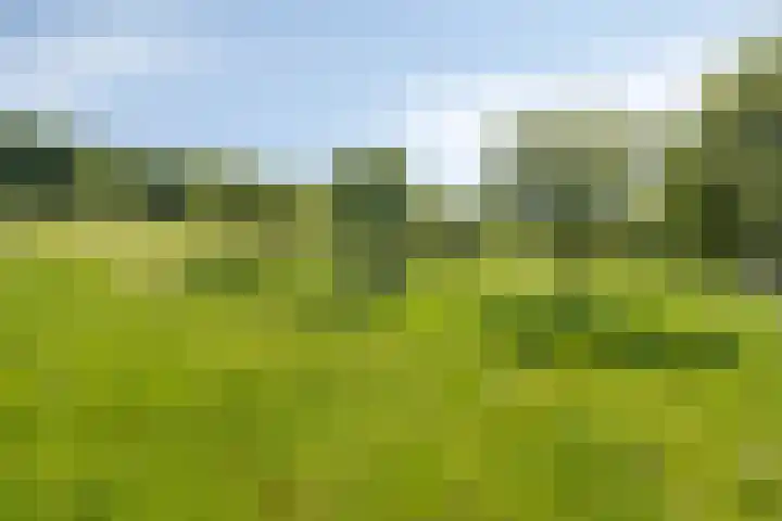 Oostbroek 19 Geulle thumbnail 51