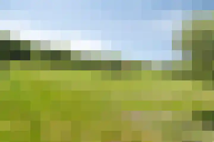 Oostbroek 19 Geulle thumbnail 52