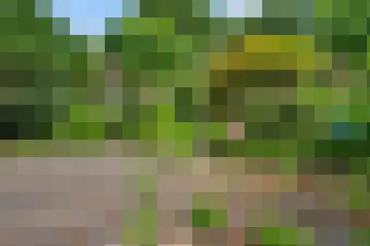 Oostbroek 3 Geulle thumbnail 16