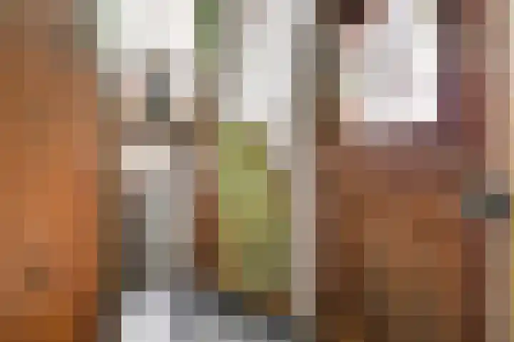 Oostbroek 3 Geulle thumbnail 5