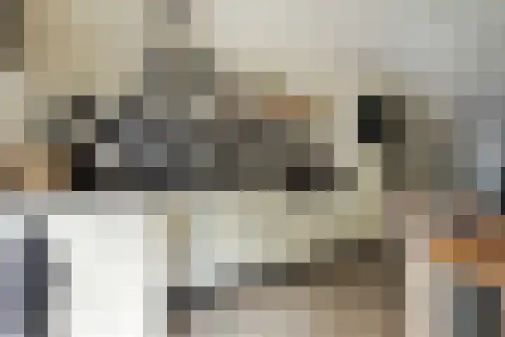 Oostbroek 5 Geulle thumbnail 12