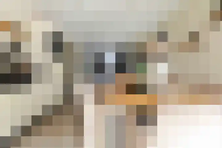 Oostbroek 5 Geulle thumbnail 13