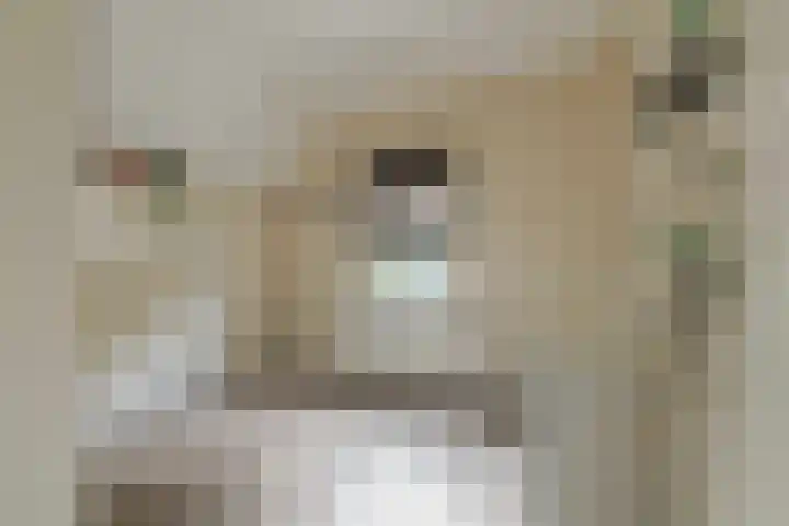 Oostbroek 5 Geulle thumbnail 22